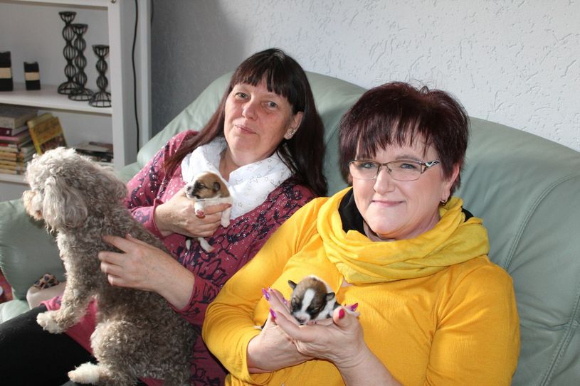 Silvia Franke (links) aus Spremberg betreute die Welpen anfangs mit ihrem Ehemann. Madlen Krenz (rechts) vermittelte den Kontakt zu einer Hoyerswerdaer Pflegestelle, in der ein Teil des Hundenachwuchses jetzt untergebracht ist und von einer Adoptivmama versorgt wird. Foto: Silke Richter