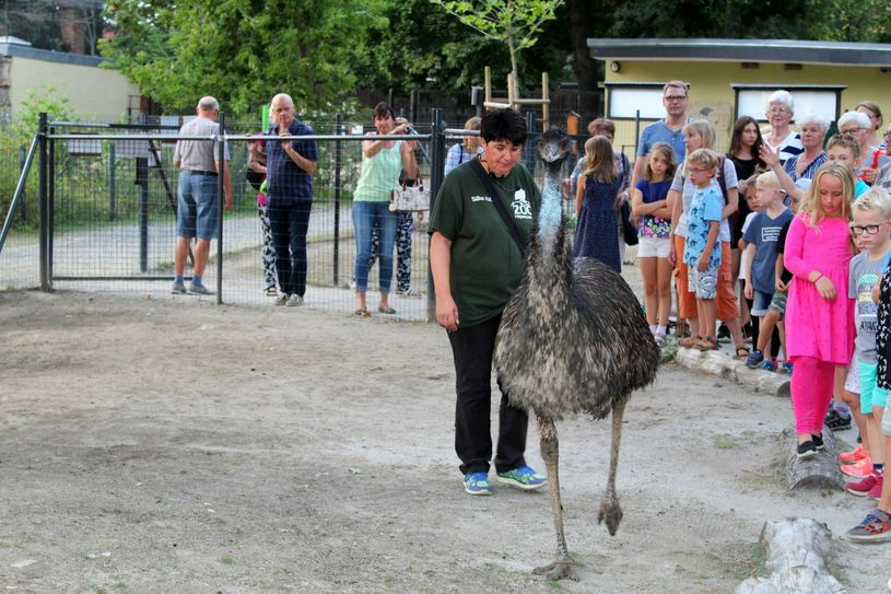 Ein Bild aus besseren (vergangenen) Zeiten: Das Motiv entstand bei einem Aktionstag im Zoo. Foto: Silke Richter