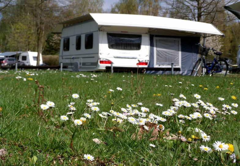 Komfortcamping am Senftenberger See. Foto: Zweckverband Lausitzer Seenland Brandenburg