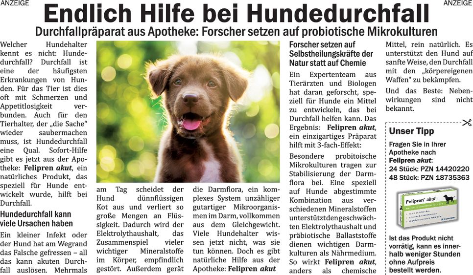 Felinapharm (Sonne, Forscher)