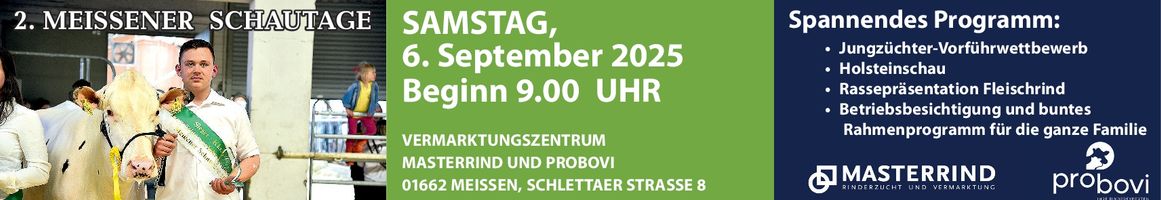 Masterrind Schautage