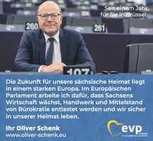 Europaparlament Schenk