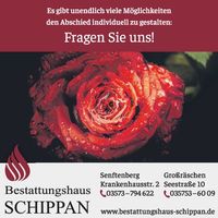 3-SFB RETRO Bestatt. Schippan