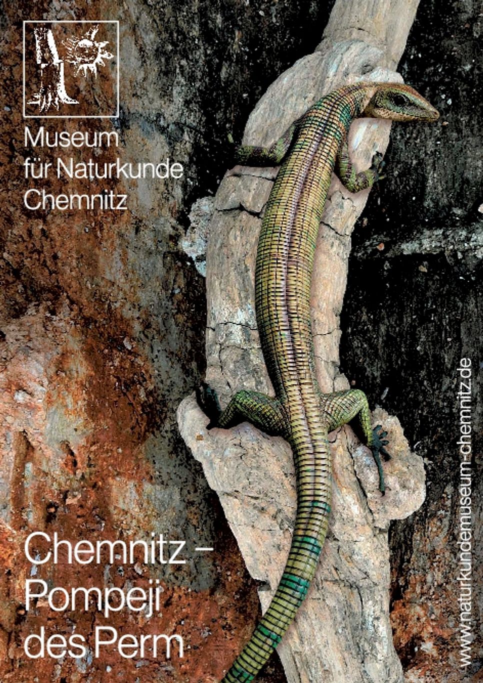 Museum für Naturkunde