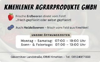 Erdbeer Selbstpflücke