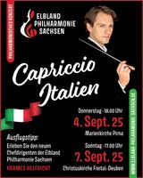 Elblandphilharmonie