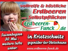 Erdbeeren Struppen