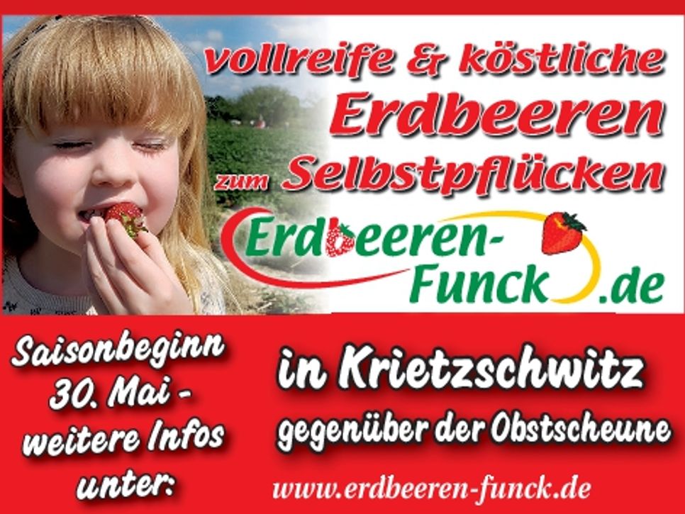 Erdbeeren Struppen