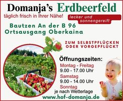 Erdbeerfeld Bautzen