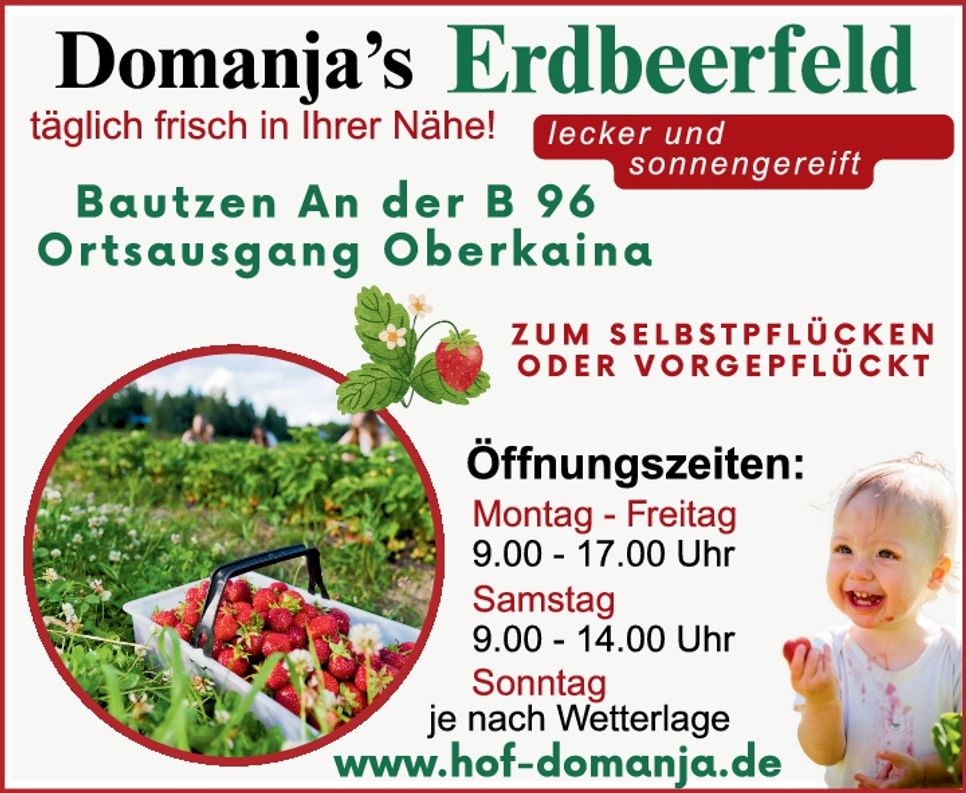 Erdbeerfeld Bautzen