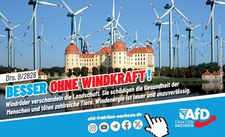 TS - AfD