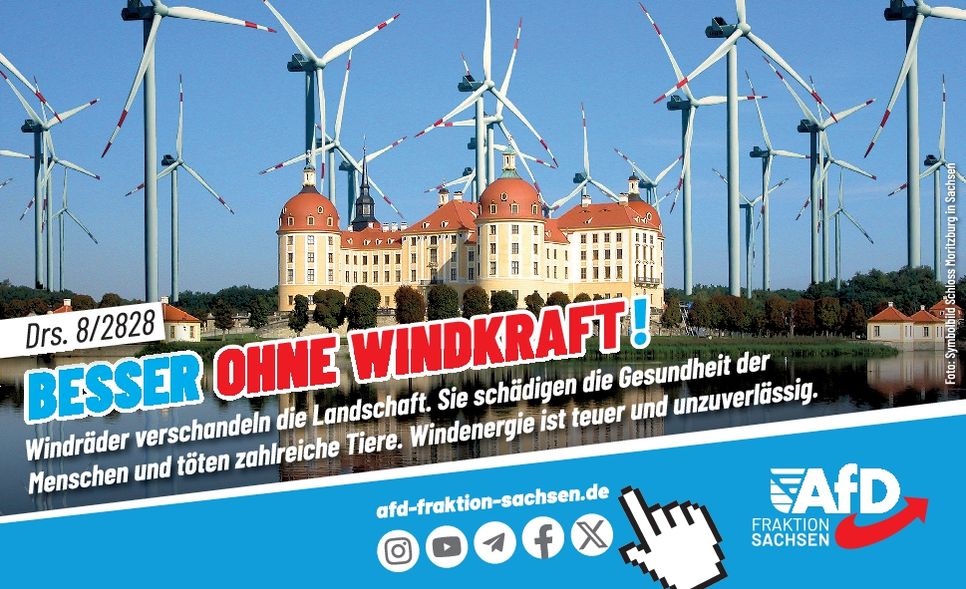 TS - AfD