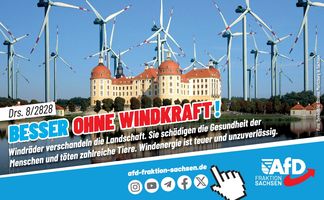 TS - AfD