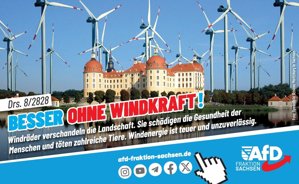 TS - AfD