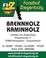 Forsthof Ziegenbalg Kamin-Brennholz