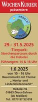 Tierpark Hebelei Kindertag