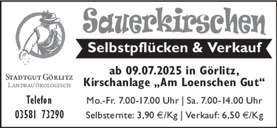 Sauerkirschen/Selbstpflücke
