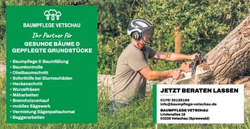 Stadtfest - Baumpflege Vetschau