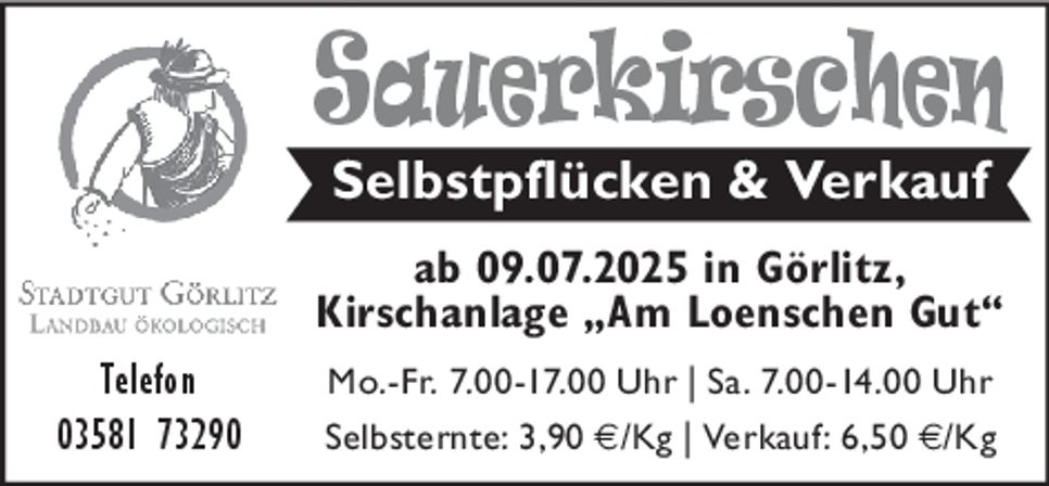 Sauerkirschen/Selbstpflücke