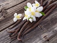 Das wohl bekannteste Beispiel für die Differenzierungen von Aromen ist der Vanillegeschmack. Bildquelle: fotolia.com © Dionisvera (#107471083)
