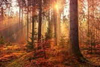 Der goldene Herbst schränkt uns keineswegs in unseren Aktivitäten ein.