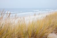 Quelle: https://pixabay.com/de/photos/dünen-meer-ostsee-strand-küste-1936086/