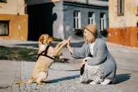 https://pixabay.com/de/photos/m%c3%a4dchen-hund-haustier-freundschaft-5623231/