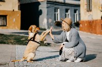 https://pixabay.com/de/photos/m%c3%a4dchen-hund-haustier-freundschaft-5623231/